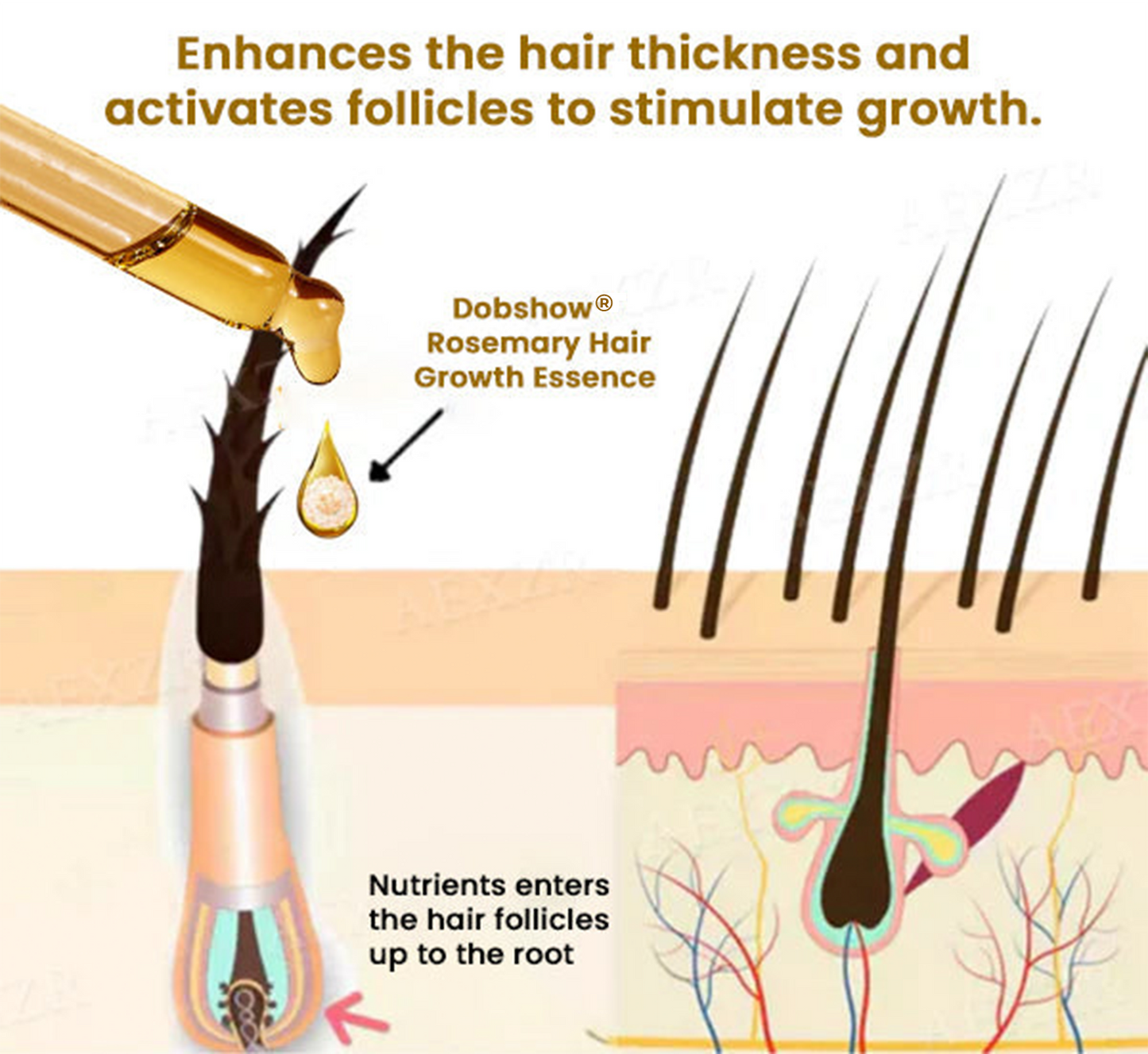 Dobshow® Rosemary Hair Density Oil（Promotes Fuller Hair, Beard & Brows）>> ✅ 75% OFF